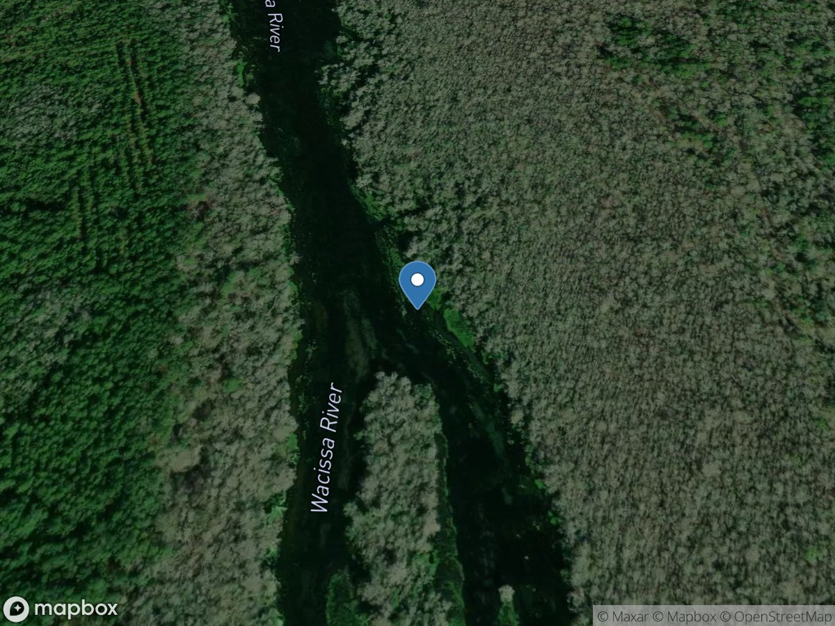 Wacissa River near Wacissa Fla location