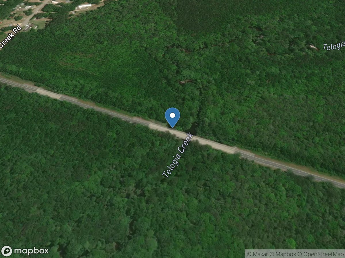 Telogia Creek near Bristol, Fla. location