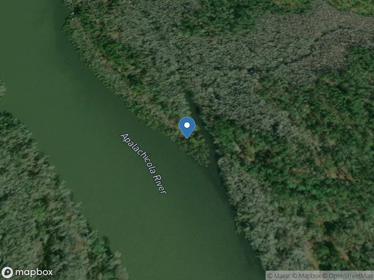 Apalachicola River near Sumatra,Fla. location