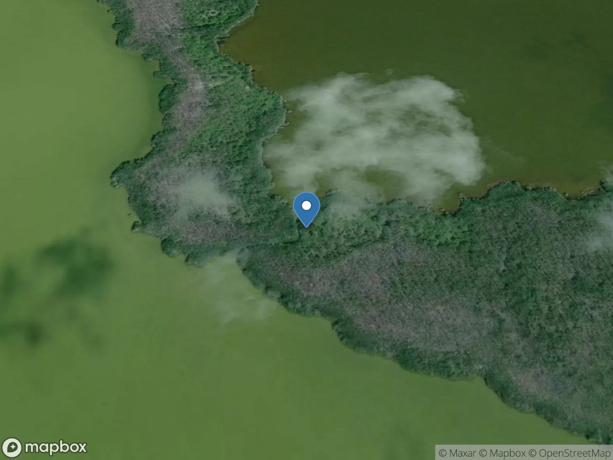 Oyster Creek near Flamingo, FL location