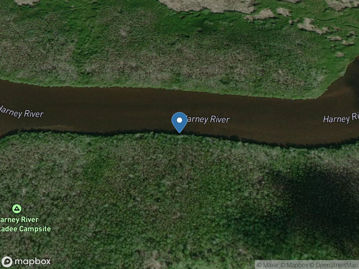 Harney River near Flamingo FL location