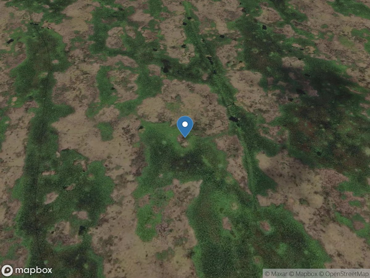 Site 64 IN Conservation Area 3a near Coopertown Fl. location