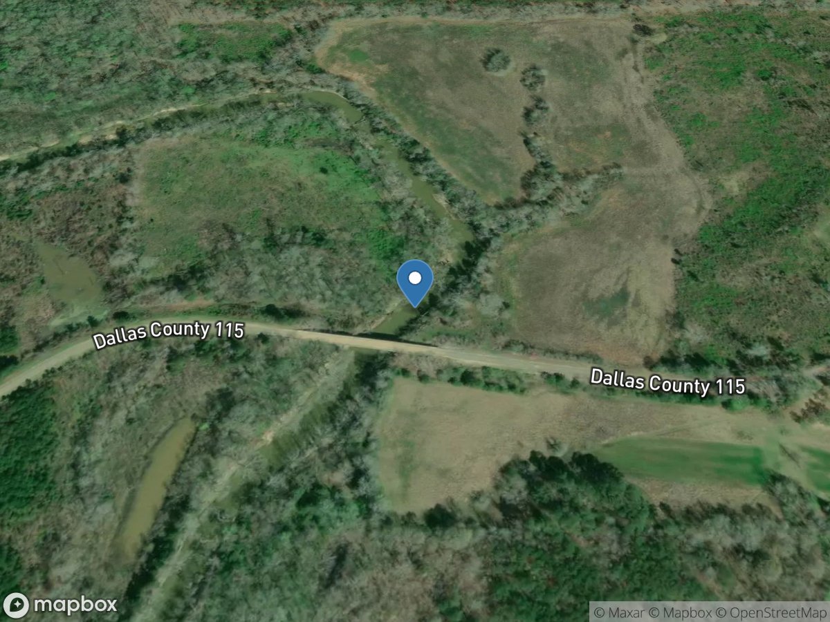 Bogue Chitto Creek at CO Road 115 below Orrville, AL location