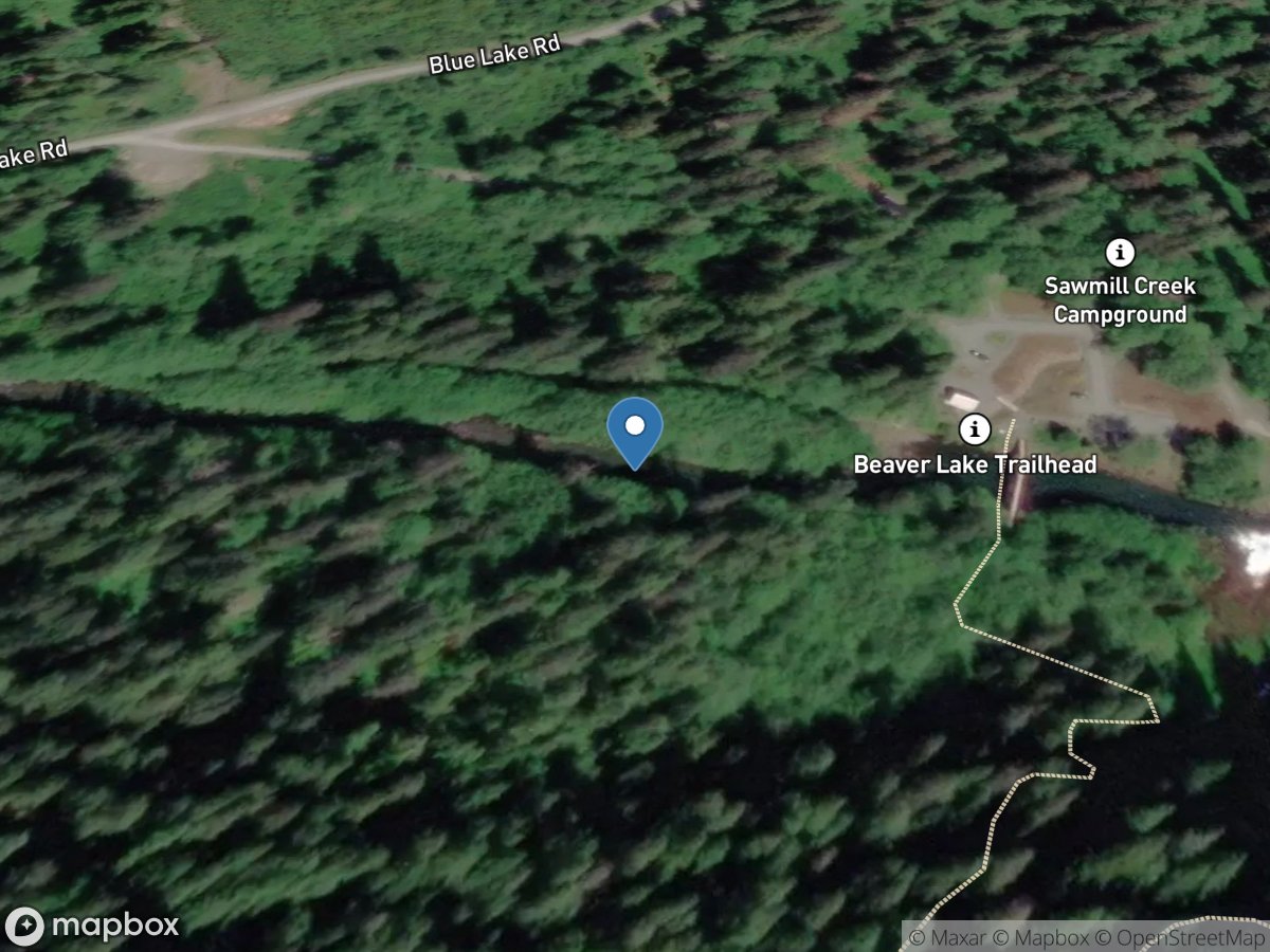 Sawmill Creek below U Tailrace near Sitka AK location