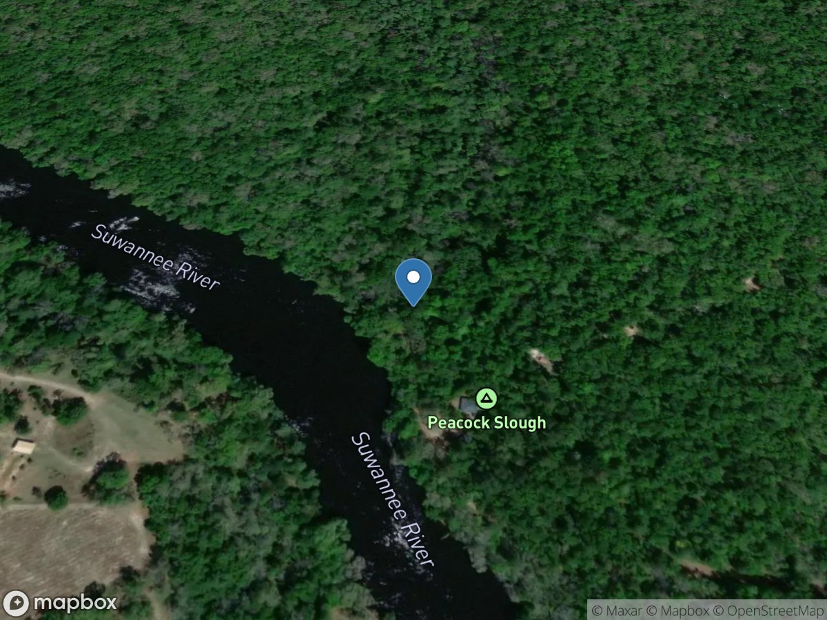 Suwannee River at Peacock Slough near Mayo, FL location