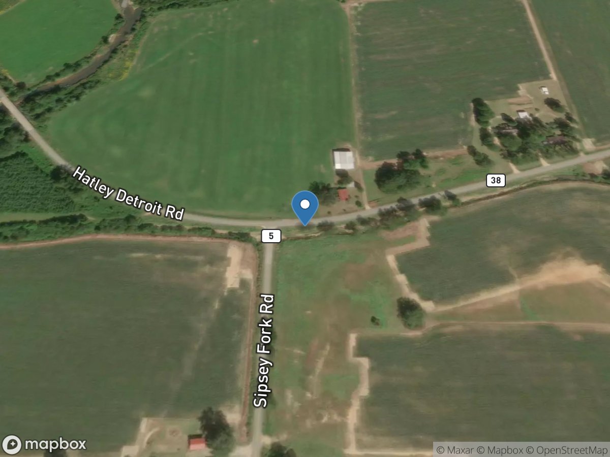 Northington Branch near Detroit, Ala. Site a location