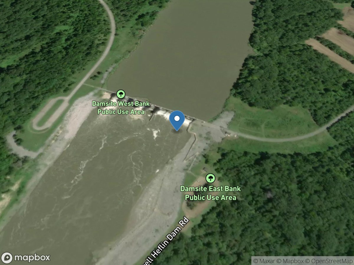 Tombigbee River at Heflin L&d near Gainesville, AL location