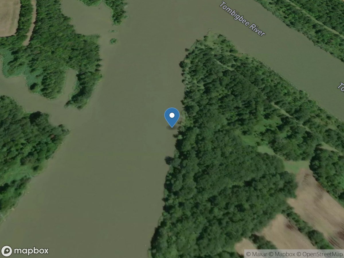 Tombigbee River below Heflin L&d near Gainesville, Ala location