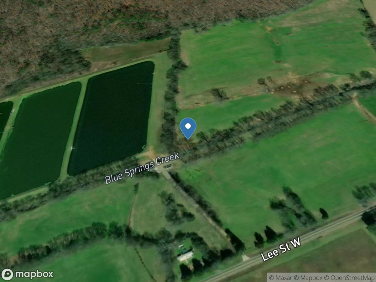 Blue Springs Creek near Blountsville, Al. location