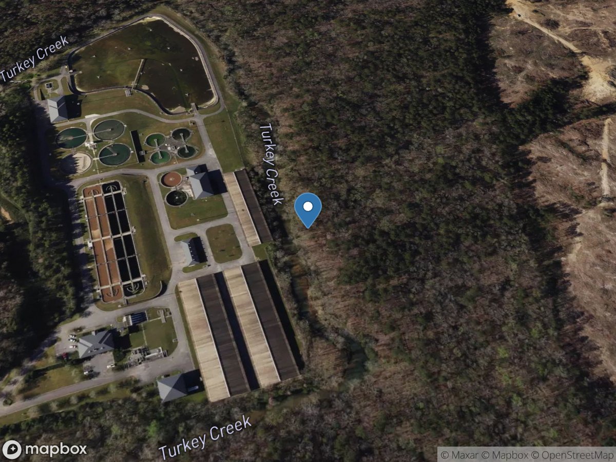 Turkey Creek at Sewage Plant near Pinson AL location