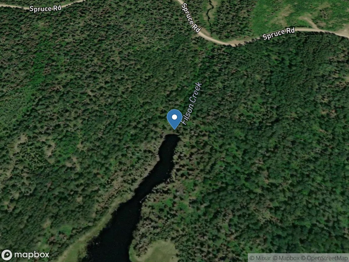 Filson Creek (FIL0606 - WP13), near Winton, MN location