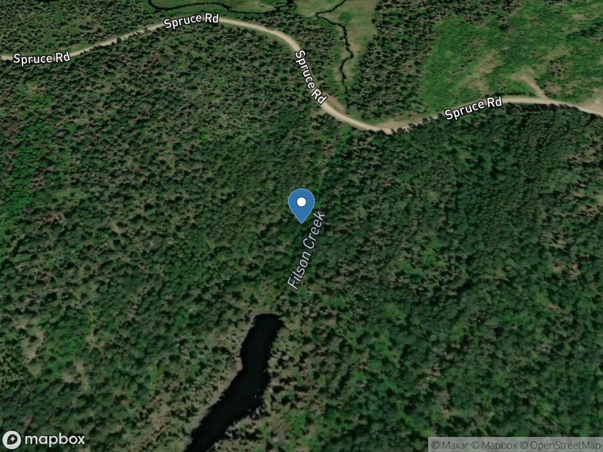 Filson Creek (FIL0657 - WP18), near Winton, MN location