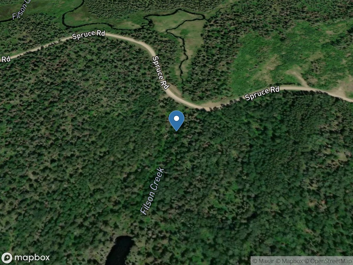 Filson Creek (FIL0737 - WP28), near Winton, MN location