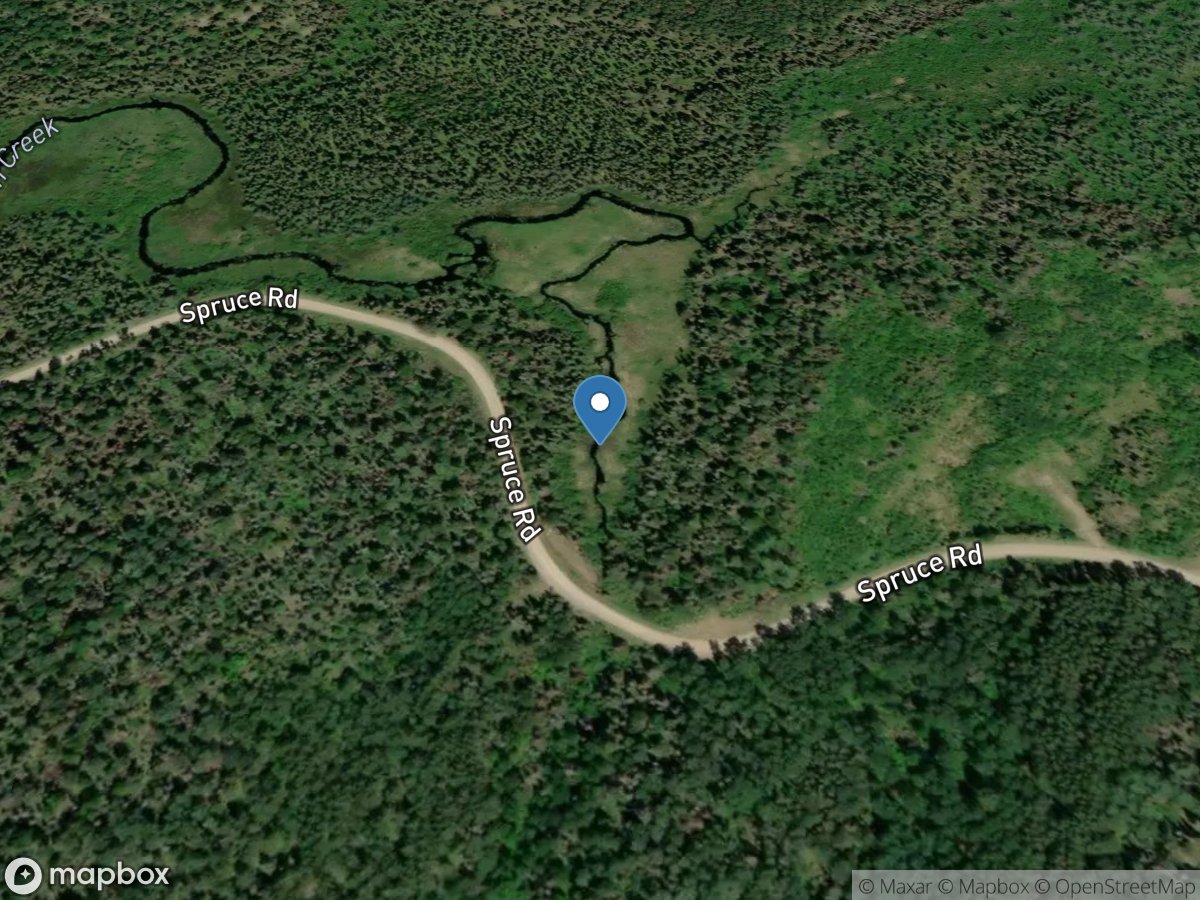 Filson Creek (FIL0881 - WP46), near Winton, MN location