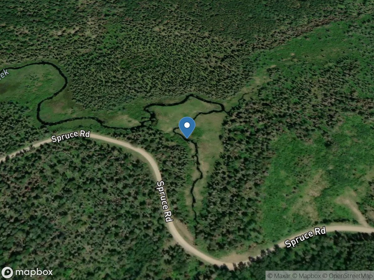 Filson Creek (FIL0964 - WP57), near Winton, MN location