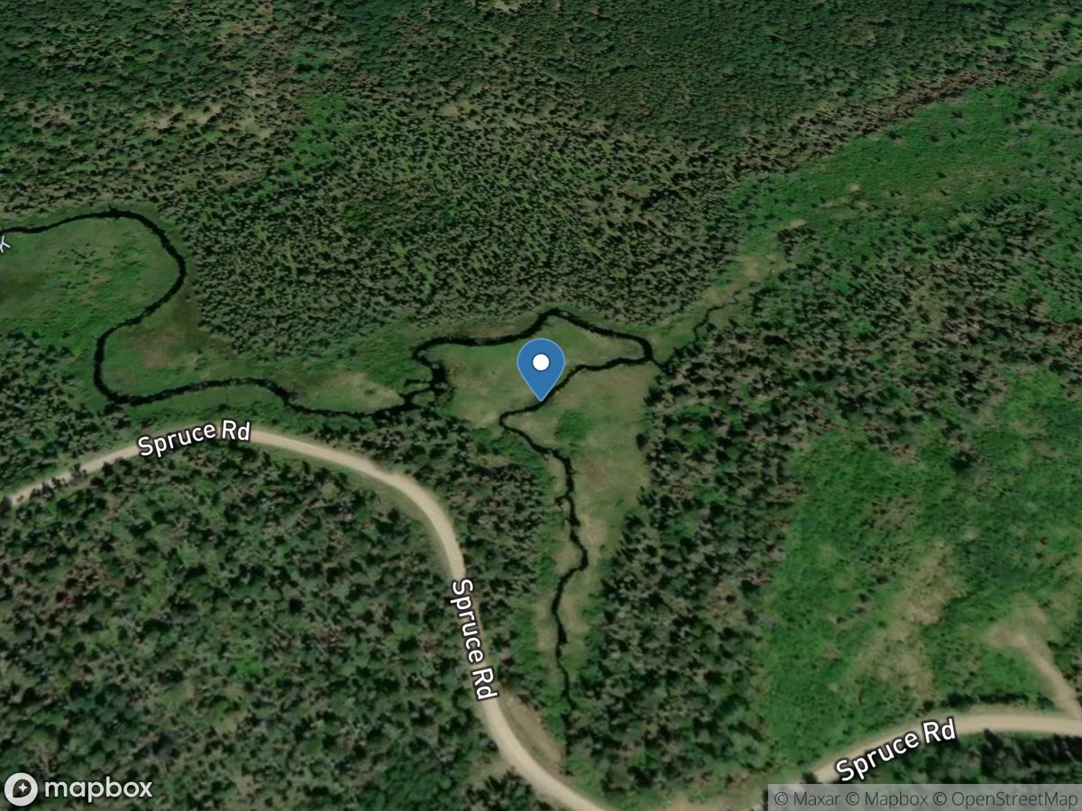 Filson Creek (FIL1005 - WP63), near Winton, MN location