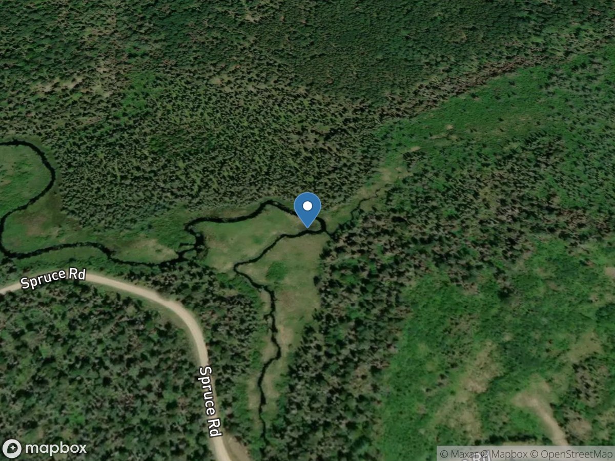 Filson Creek (FIL1055 - WP69), near Winton, MN location