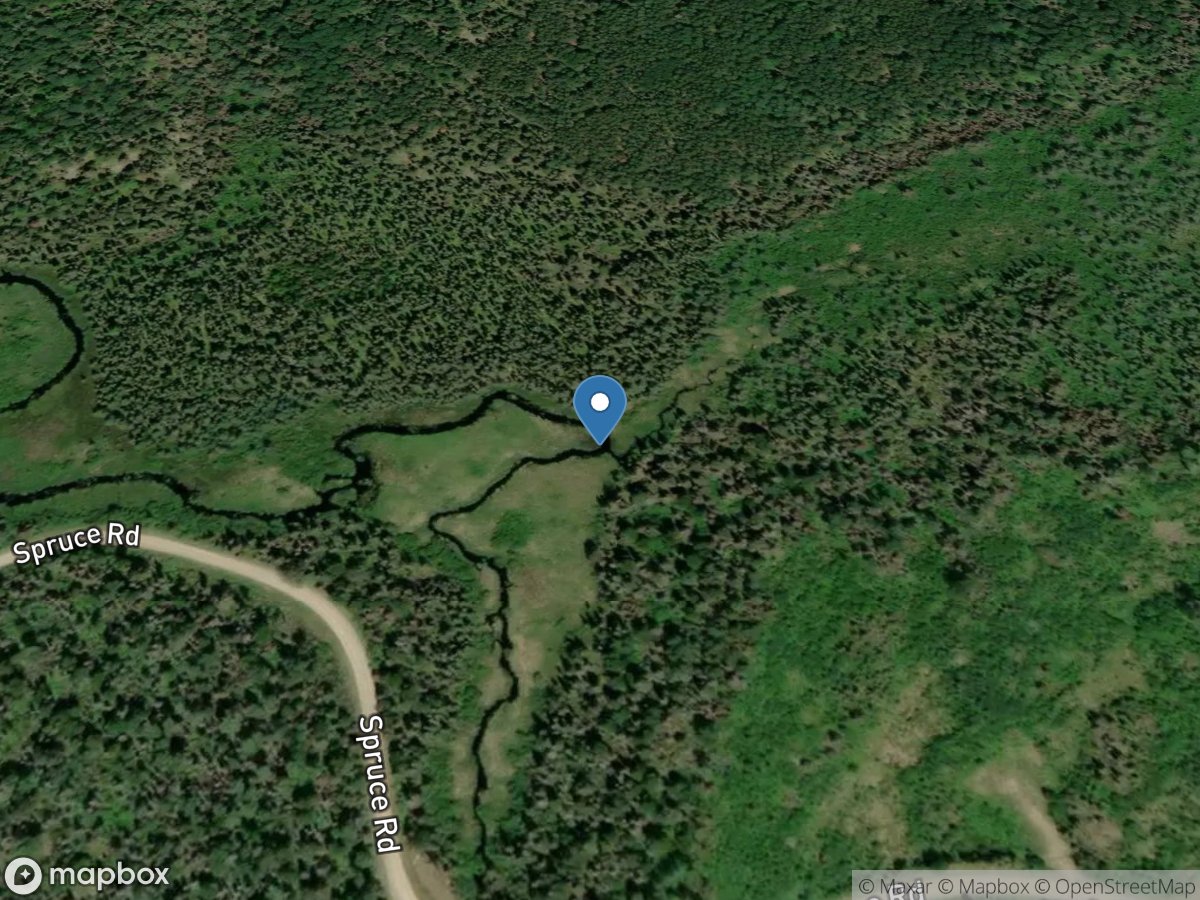 Filson Creek (FIL1065 - WP71), near Winton, MN location