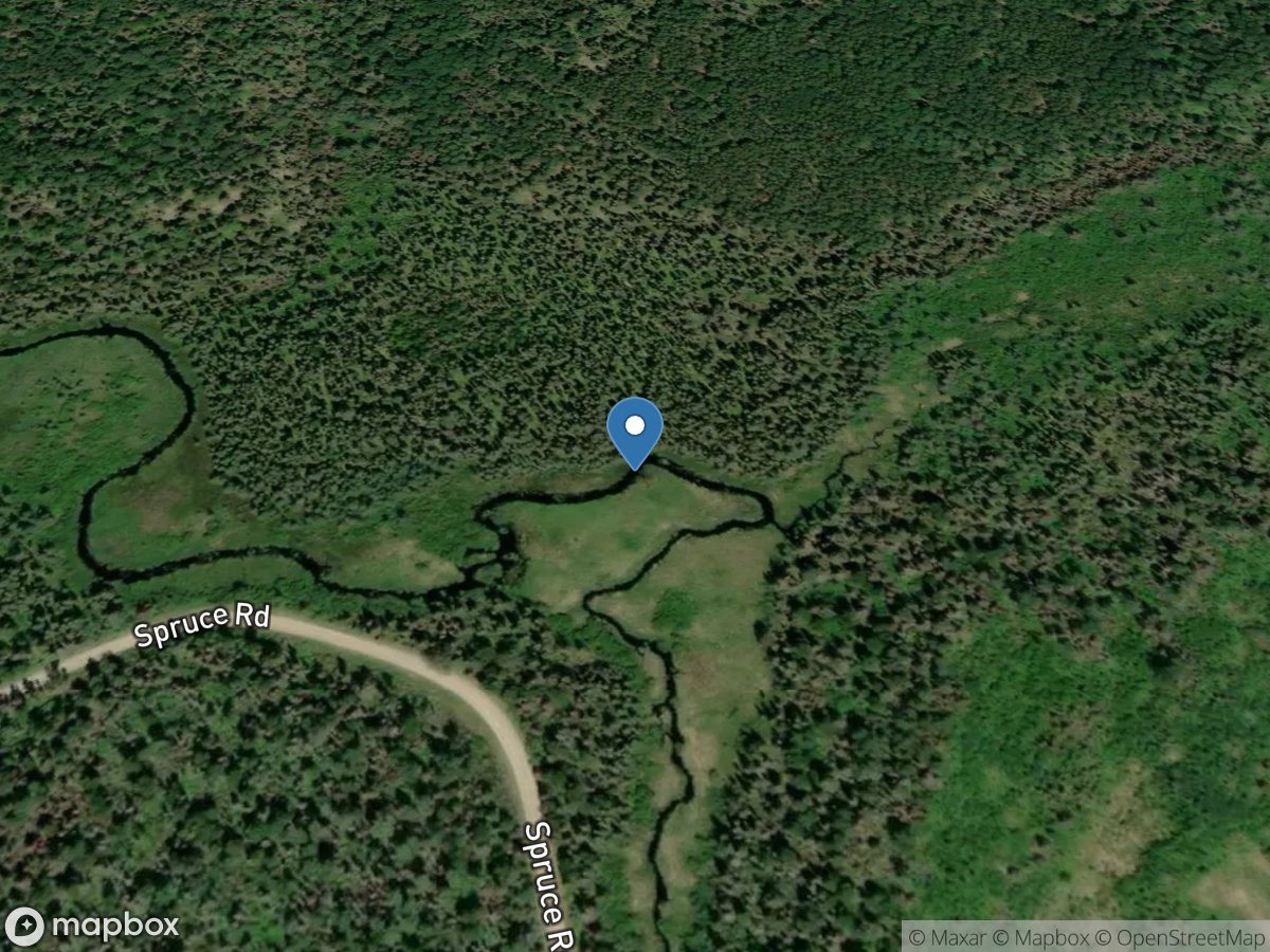 Filson Creek (FIL1132 - WP82), near Winton, MN location