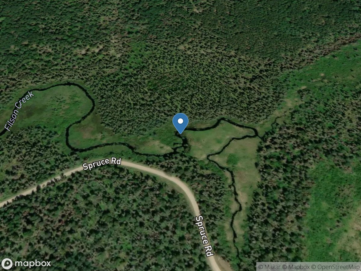 Filson Creek (FIL1199 - WP93), near Winton, MN location