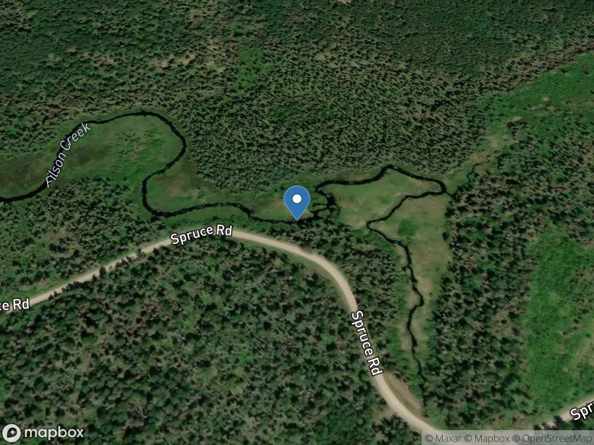 Filson Creek (FIL1262 - WP100), near Winton, MN location