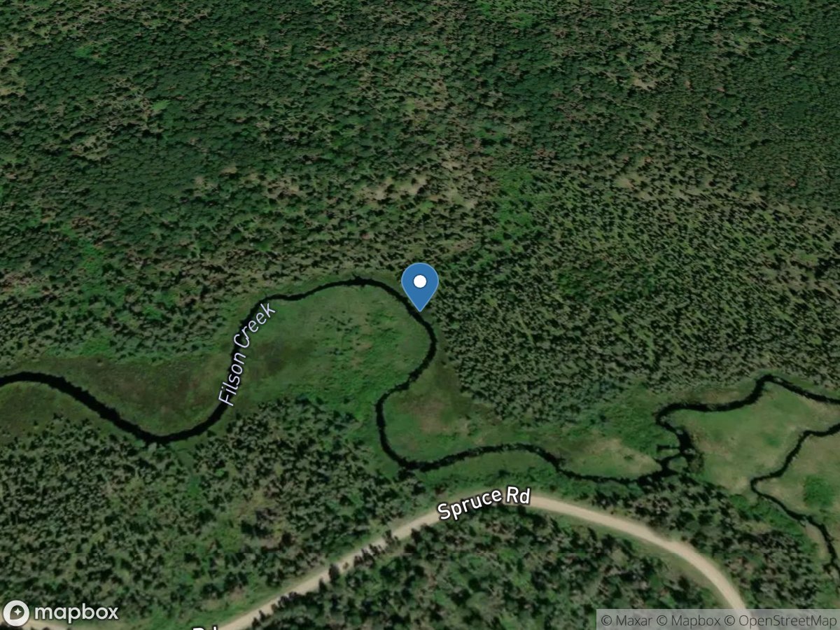 Filson Creek (FIL1506 - WP123), near Winton, MN location