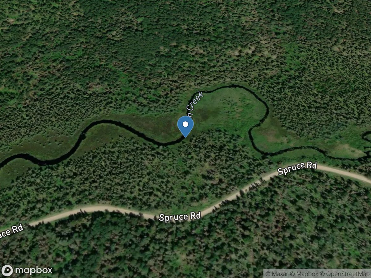 Filson Creek (FIL1697 - WP137), near Winton, MN location