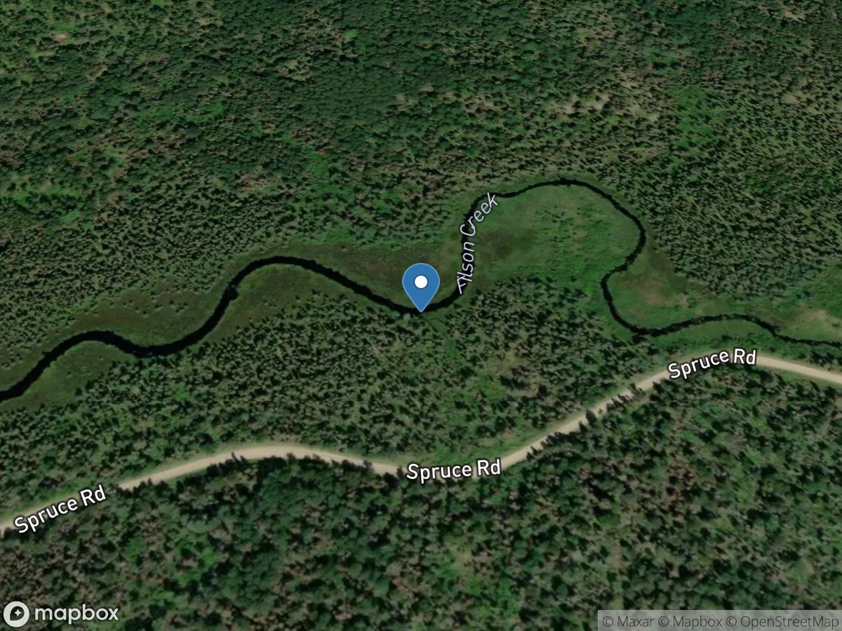 Filson Creek (FIL1723 - WP139), near Winton, MN location