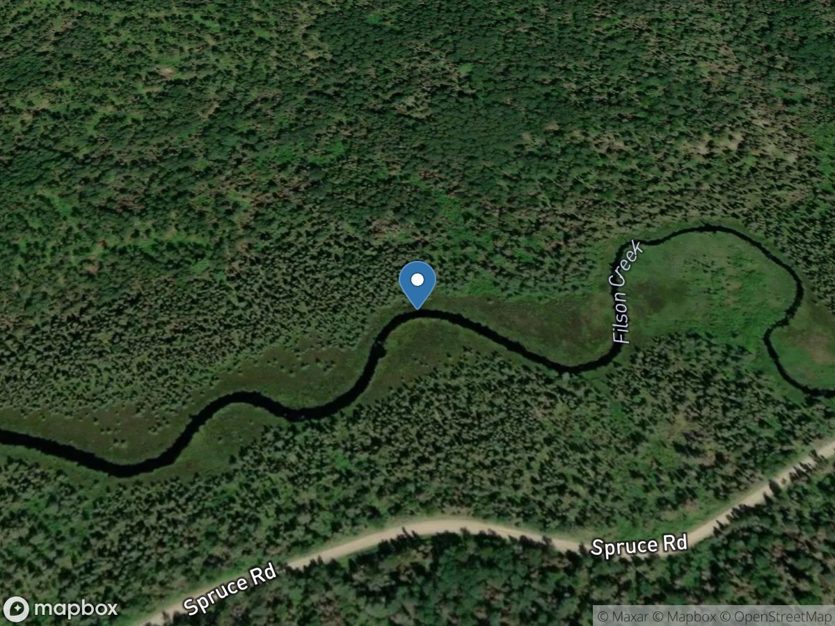 Filson Creek (FIL1824 - WP147), near Winton, MN location