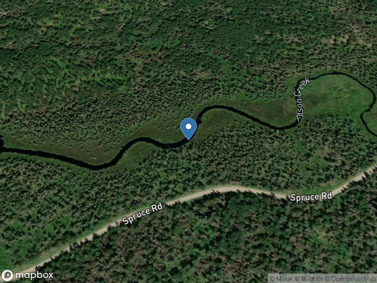 Filson Creek (FIL1898 - WP153), near Winton, MN location