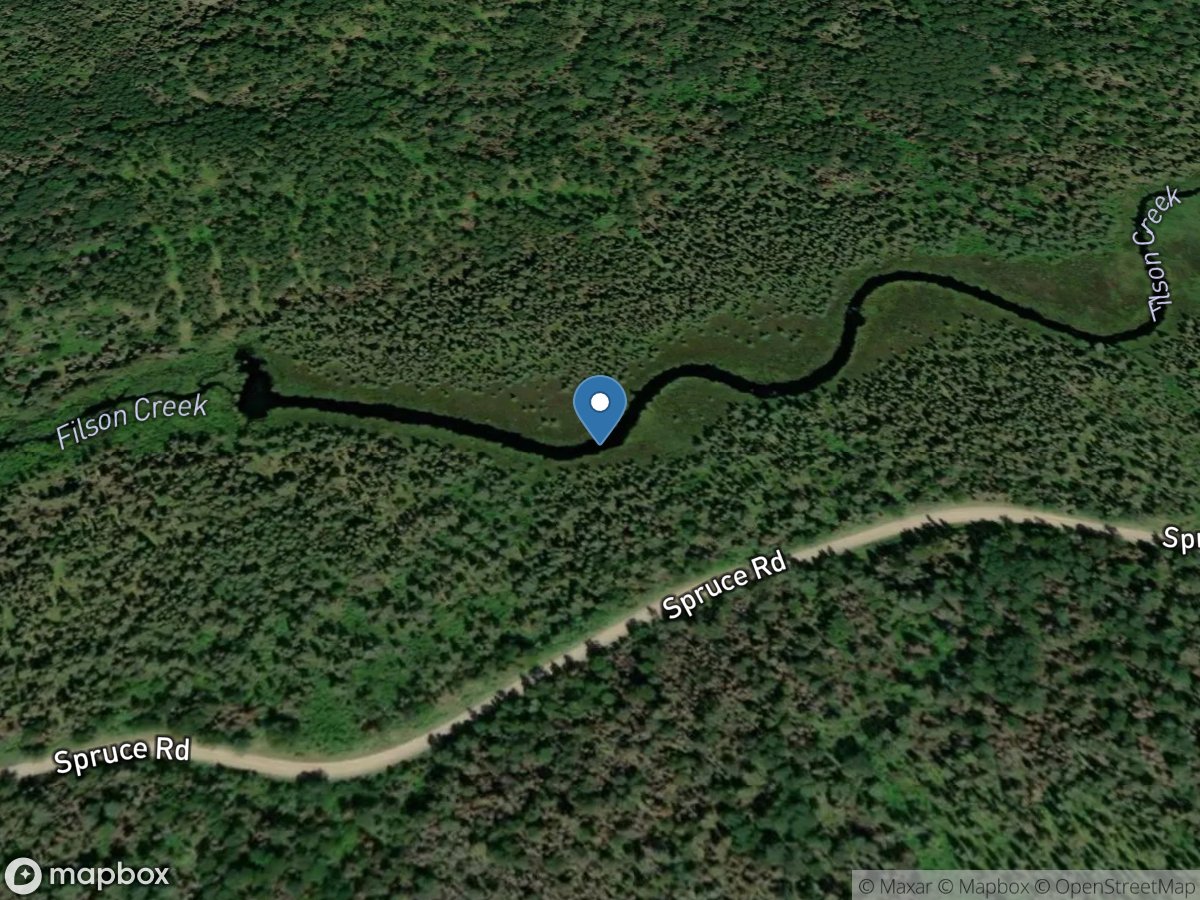 Filson Creek (FIL2026 - WP164), near Winton, MN location