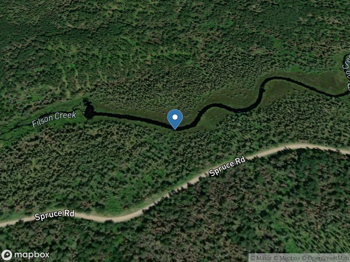 Filson Creek (FIL2048 - WP166), near Winton, MN location