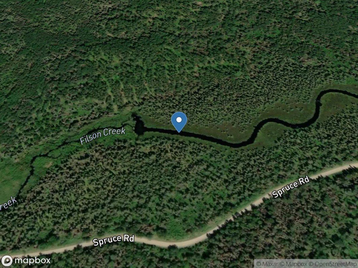 Filson Creek (FIL2120 - WP173), near Winton, MN location