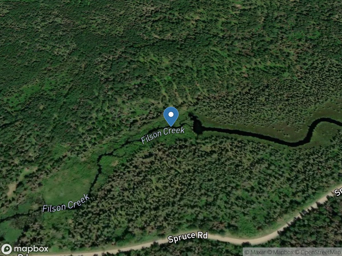 Filson Creek (FIL2225 - WP184), near Winton, MN location