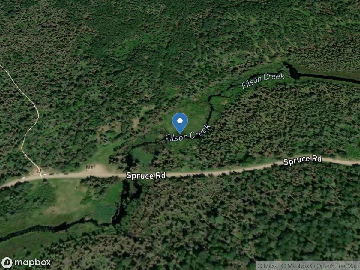 Filson Creek (FIL2432 - WP206), near Winton, MN location