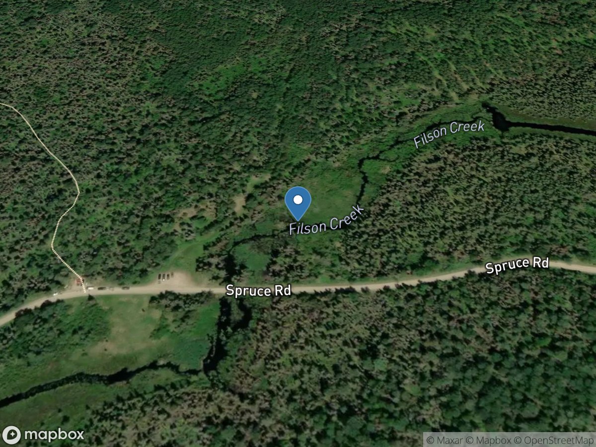 Filson Creek (FIL2449 - WP209), near Winton, MN location