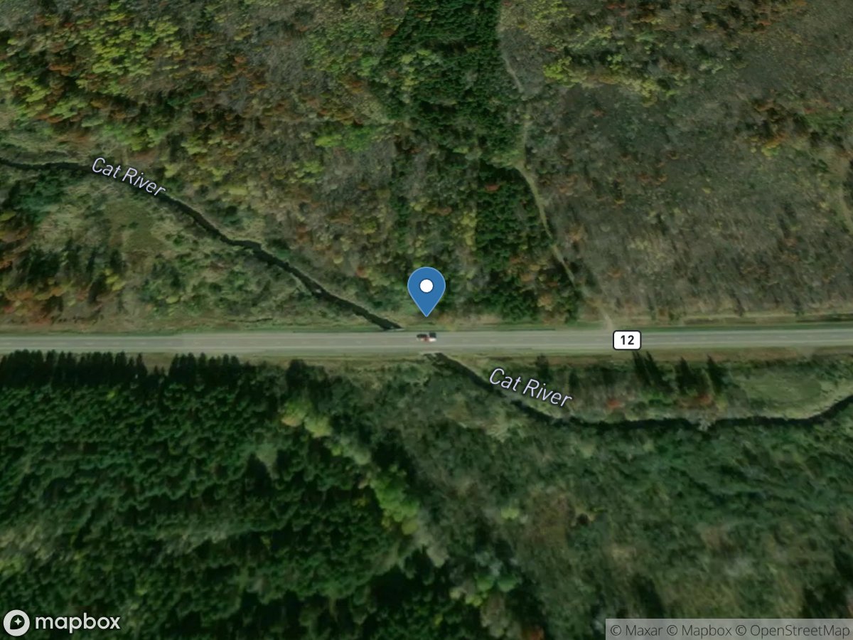 Cat River near Nimrod, MN location