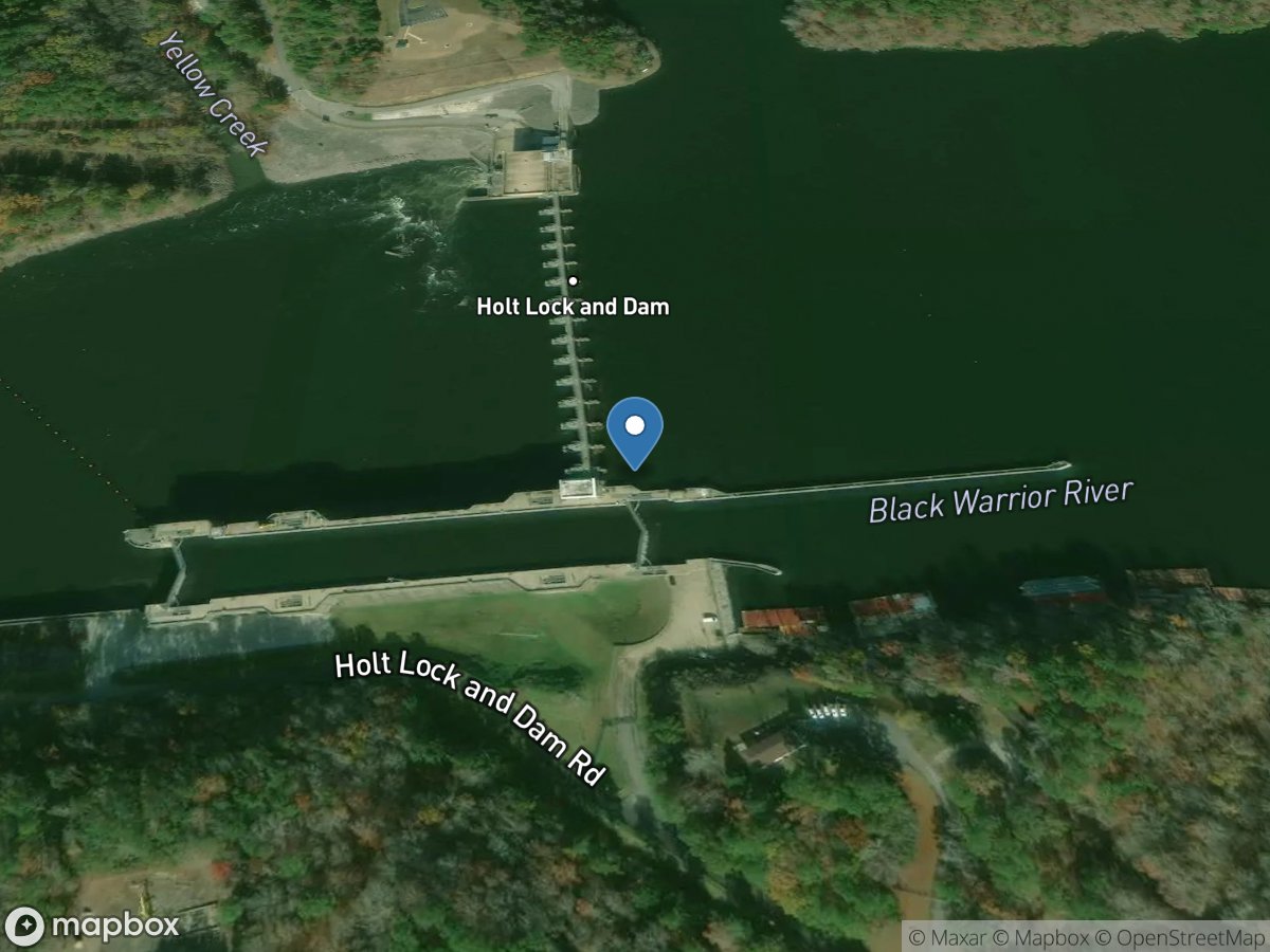 Black Warrior River at Holt L&d near Holt Al. location