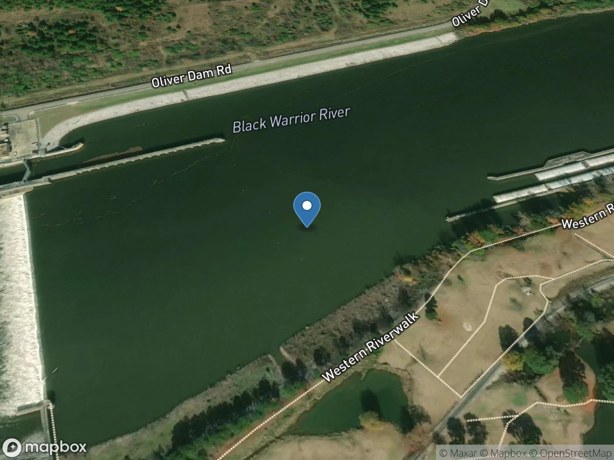 Black Warrior River at Northport AL location