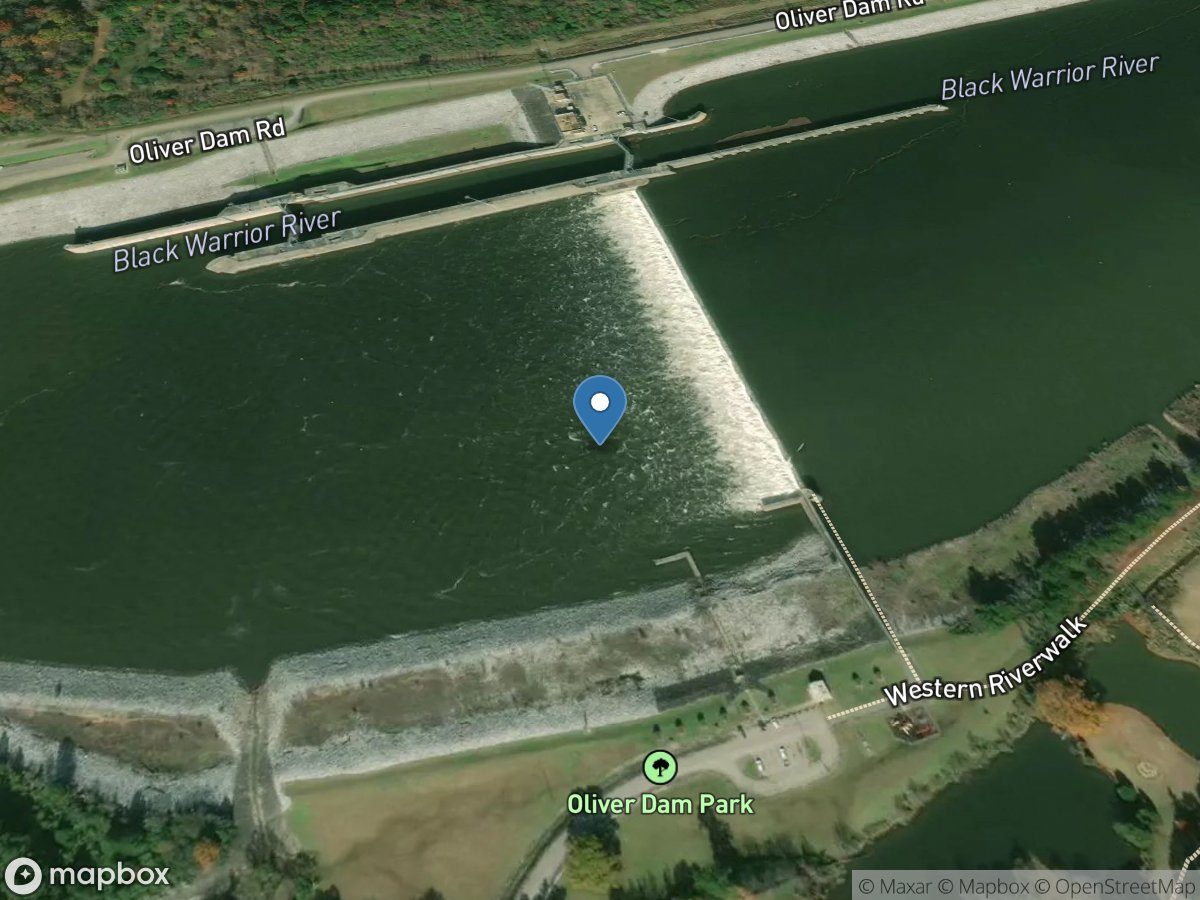 Black Warrior River below Oliver L&d near Tuscaloosa, Al. location