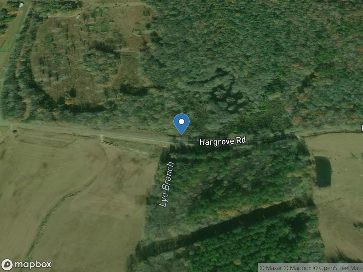 Lye Branch (site A) near Duncanville, Ala location