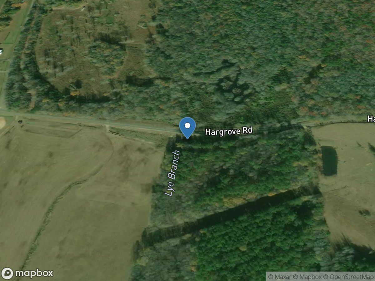 Lye Branch (site B) near Duncanville, Ala location