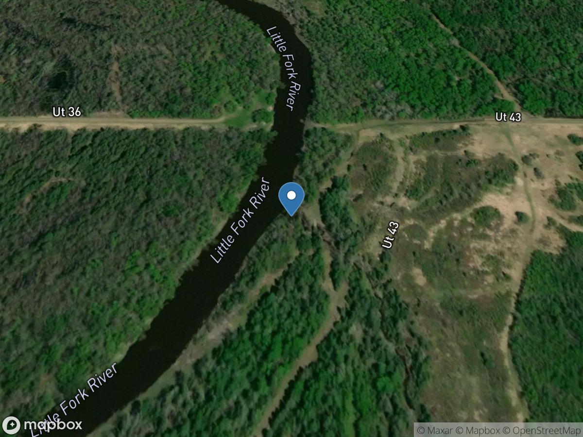 Ravine 1 to L Fork River at UT43 near Littlefork, MN location