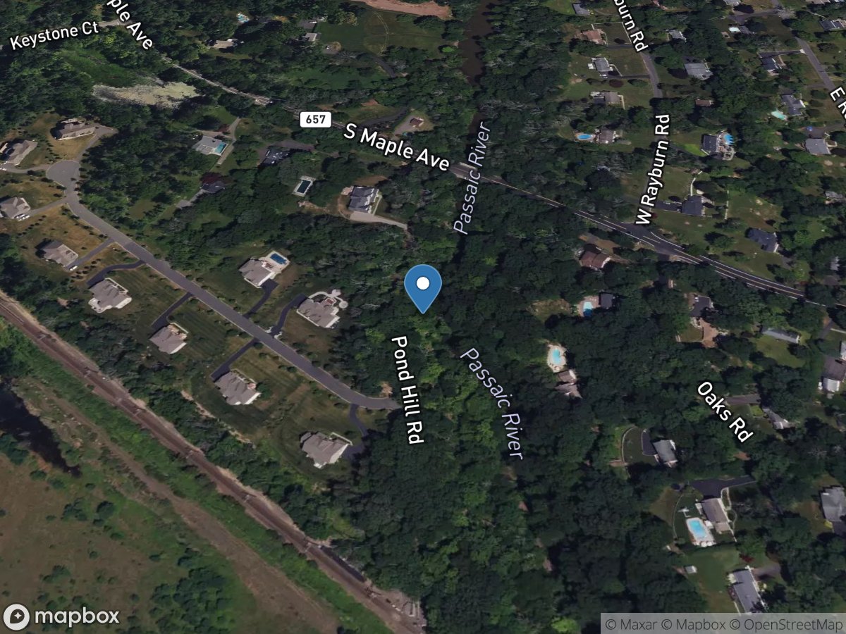 Passaic River near Millington NJ location