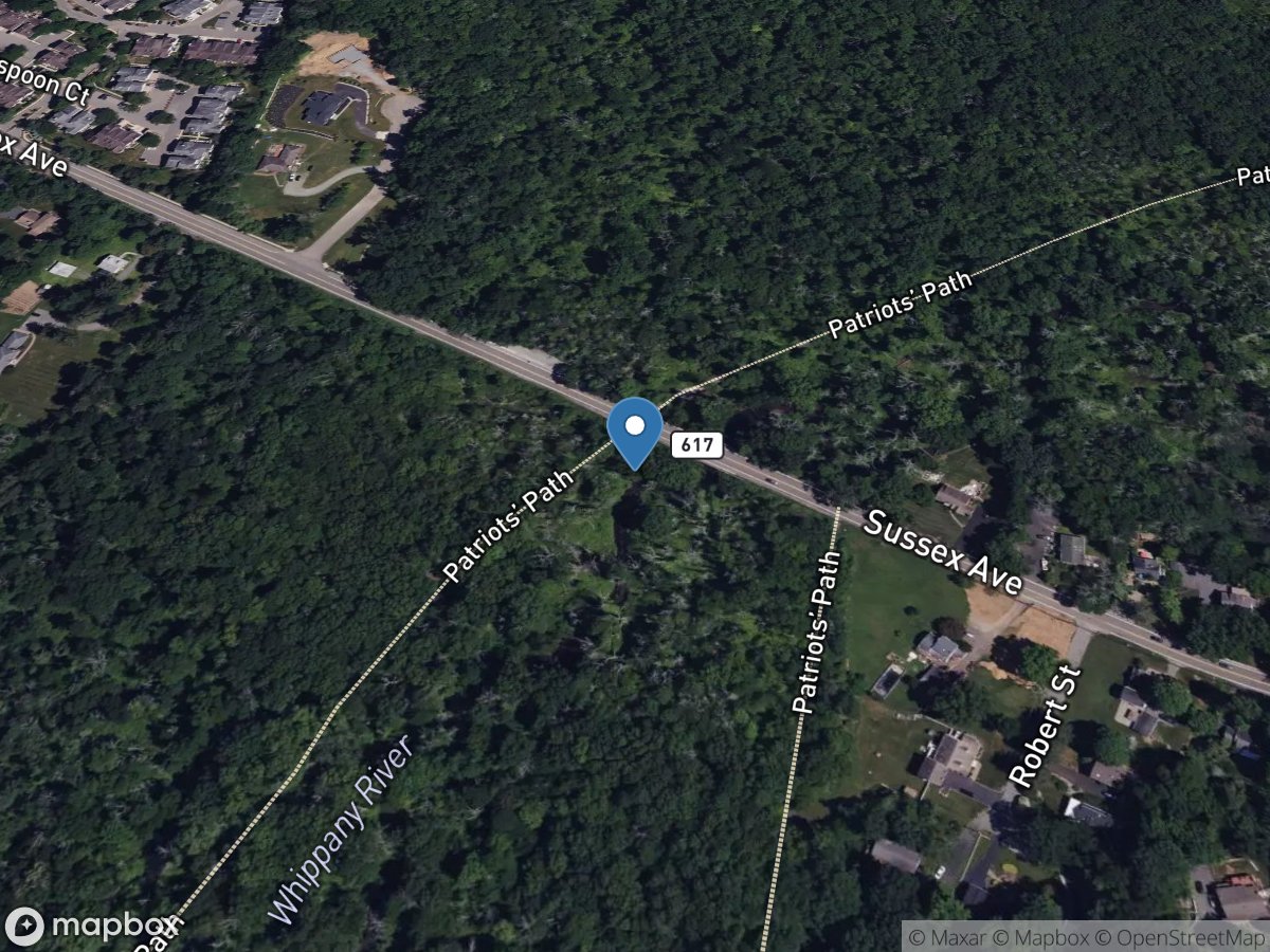 Whippany River near Morristown NJ location