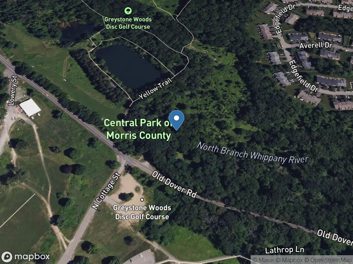 Jaquis Brook at Greystone Park State Hosp NJ location