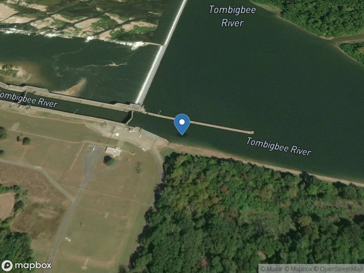 Tombigbee River at Demopolis L&d near Coatopa, Al. location