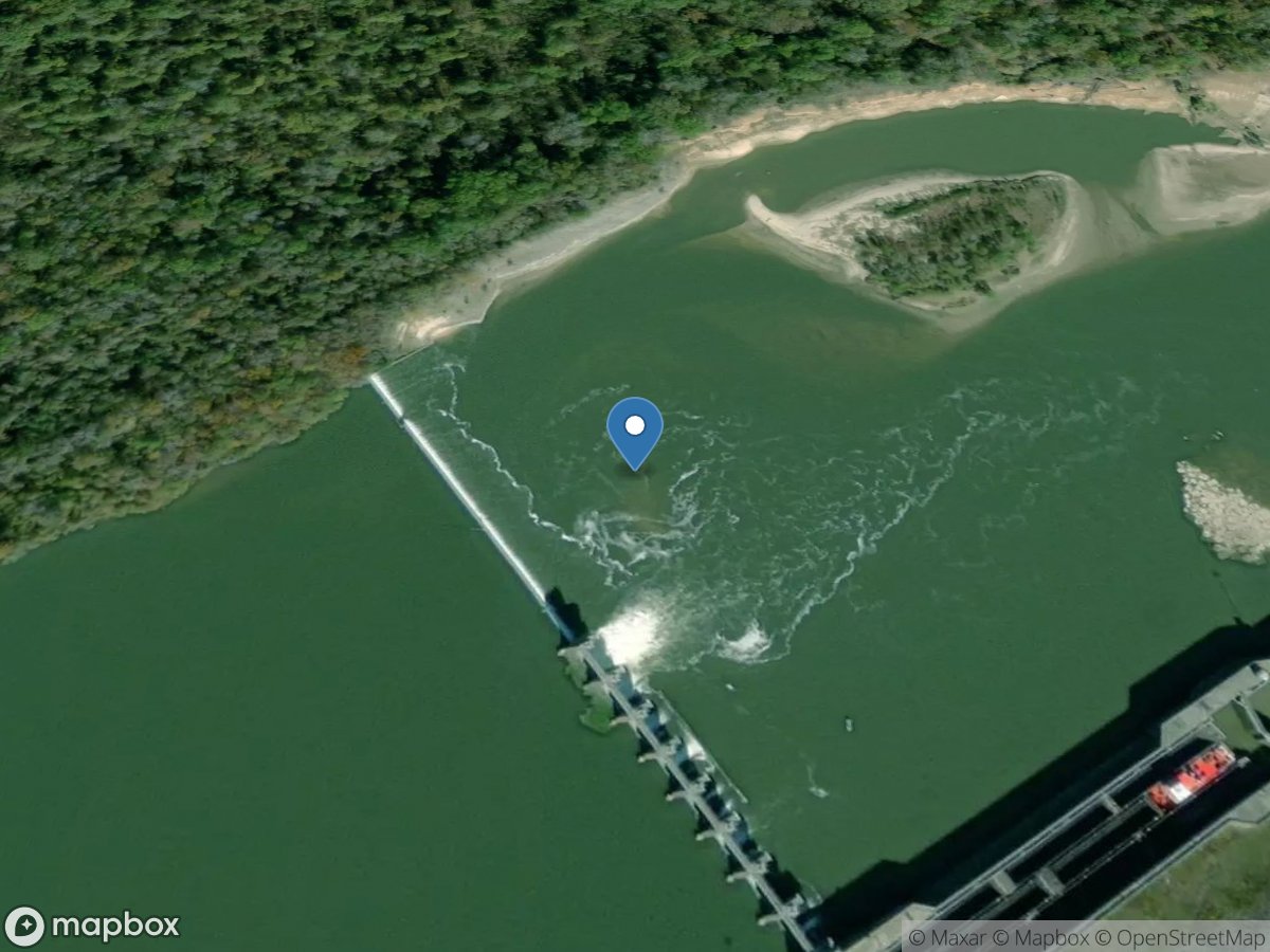 Tombigbee River at Coffeeville L&d near Coffeeville, Al. location