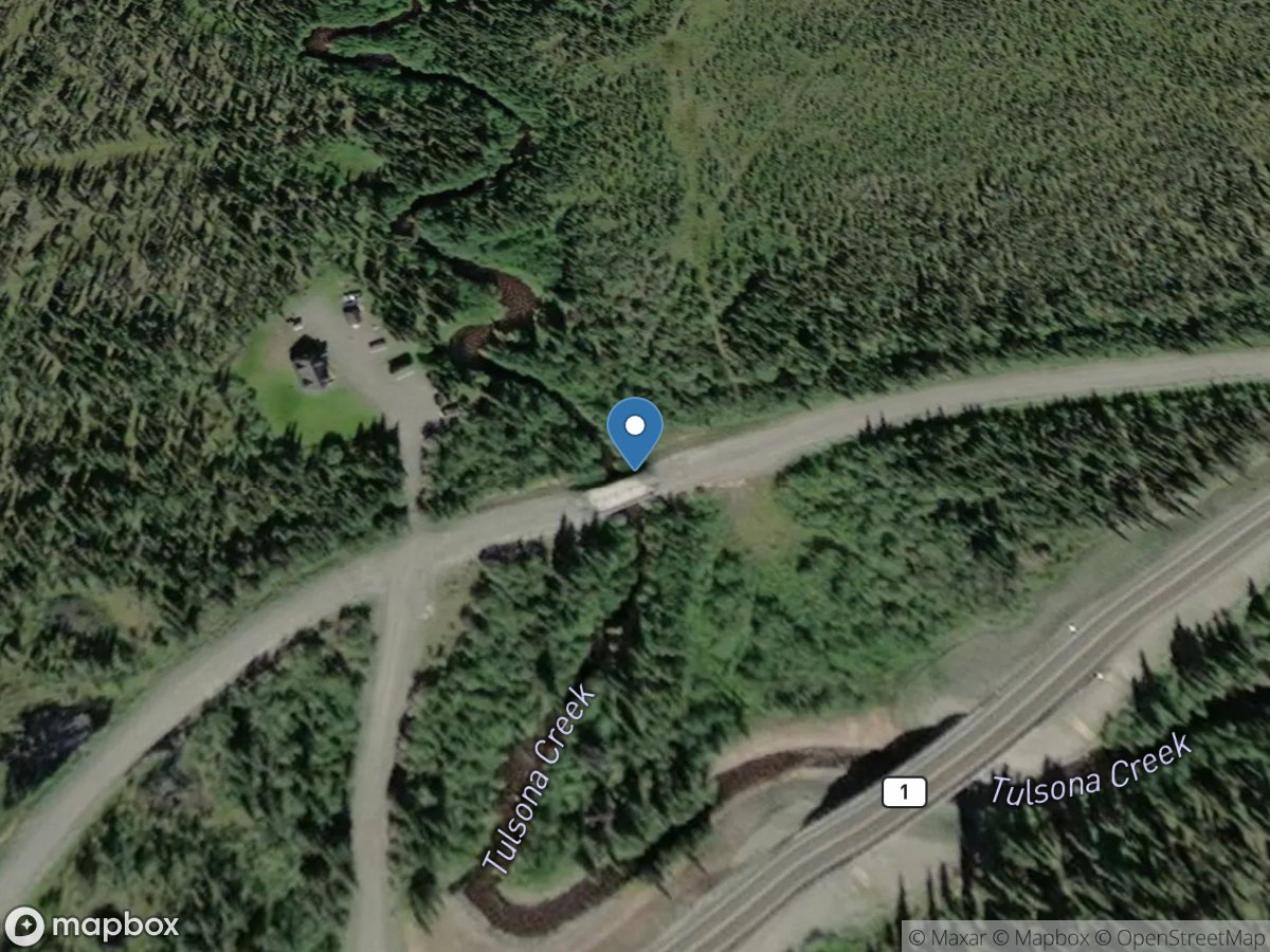 Tulsona Creek near Gakona AK location