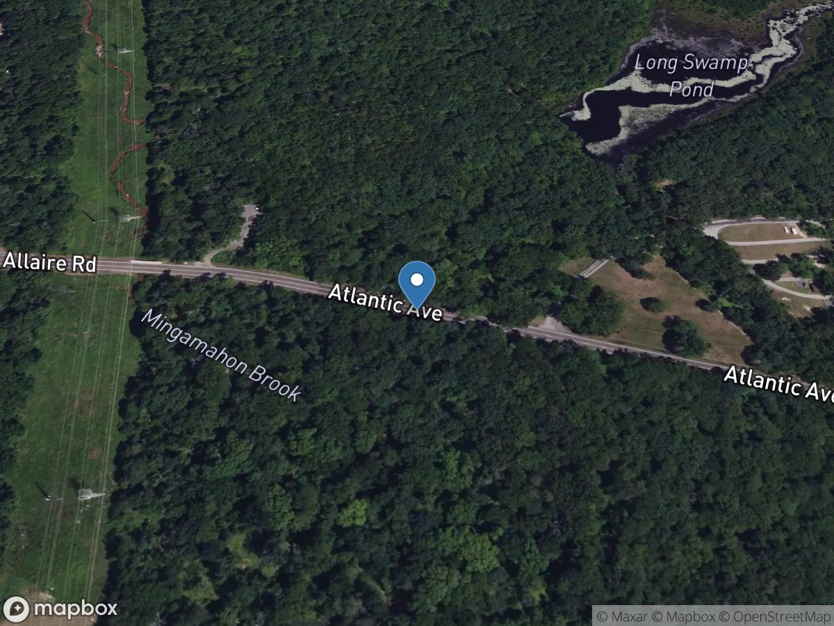 Long Swamp Brook at Squankum NJ location